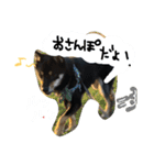 黒柴の櫂くんの日常スタンプ（個別スタンプ：7）