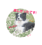 ボーダーレーン•ファミリー  VOL .3（個別スタンプ：10）