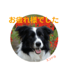 ボーダーレーン•ファミリー  VOL .3（個別スタンプ：12）