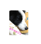 ボーダーレーン•ファミリー  VOL .3（個別スタンプ：26）