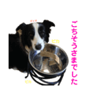 ボーダーレーン•ファミリー  VOL .3（個別スタンプ：29）