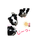 ボーダーレーン•ファミリー  VOL .3（個別スタンプ：33）