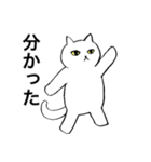 猫たち。白猫の日常（個別スタンプ：1）