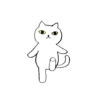 猫たち。白猫の日常（個別スタンプ：6）
