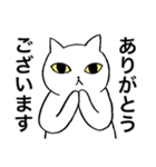 猫たち。白猫の日常（個別スタンプ：8）