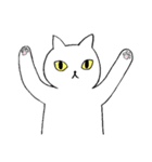 猫たち。白猫の日常（個別スタンプ：9）