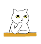 猫たち。白猫の日常（個別スタンプ：11）