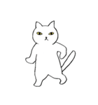 猫たち。白猫の日常（個別スタンプ：13）