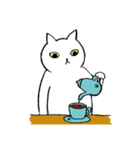 猫たち。白猫の日常（個別スタンプ：21）