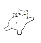 猫たち。白猫の日常（個別スタンプ：24）