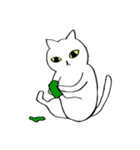 猫たち。白猫の日常（個別スタンプ：29）