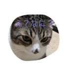 チロたんこぶ（個別スタンプ：12）