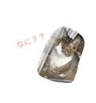 チロたんこぶ（個別スタンプ：15）