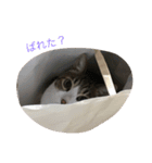 チロたんこぶ（個別スタンプ：23）