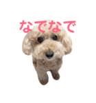 トイプードル モコ のふわもこ日常会話2（個別スタンプ：7）