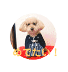 トイプードル モコ のふわもこ日常会話2（個別スタンプ：32）