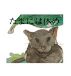 労わってくれるデグー（個別スタンプ：3）