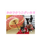 アリスラン（個別スタンプ：5）