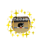 アリスラン（個別スタンプ：14）