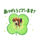 ビーグル犬family（個別スタンプ：2）