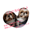 エスポワールファミリー3（個別スタンプ：5）