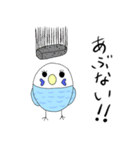 ピーコ 日常会話（個別スタンプ：20）