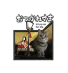 日々是猫日-猫4匹いる日常（個別スタンプ：18）