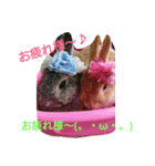 yuutan cafe（個別スタンプ：7）