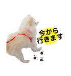 大好きはなちゃんスタンプ（個別スタンプ：4）