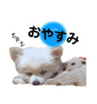 大好きはなちゃんスタンプ（個別スタンプ：8）