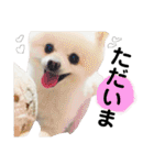 大好きはなちゃんスタンプ（個別スタンプ：16）