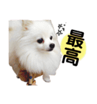 大好きはなちゃんスタンプ（個別スタンプ：19）