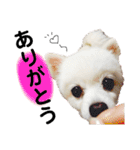 大好きはなちゃんスタンプ（個別スタンプ：21）
