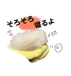 大好きはなちゃんスタンプ（個別スタンプ：27）