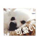 大好きはなちゃんスタンプ（個別スタンプ：37）