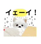 大好きはなちゃんスタンプ（個別スタンプ：38）