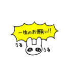 お金をせびるうさぎ（個別スタンプ：4）