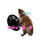 みるくるみ（個別スタンプ：3）