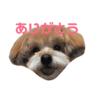みるくるみ（個別スタンプ：4）