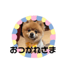 みるくるみ（個別スタンプ：13）