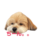 みるくるみ（個別スタンプ：15）