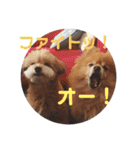 みるくるみ（個別スタンプ：18）