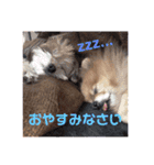 みるくるみ（個別スタンプ：23）