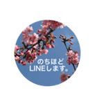 桜 スタンプ（個別スタンプ：6）