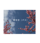 桜 スタンプ（個別スタンプ：18）