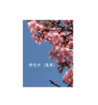 桜 スタンプ（個別スタンプ：19）