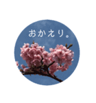 桜 スタンプ（個別スタンプ：24）