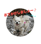 愛息子チロル③（個別スタンプ：11）