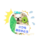 愛息子チロル③（個別スタンプ：26）