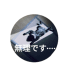 家猫達2（個別スタンプ：4）